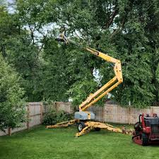 Best Emergency Tree Removal  in Country Lake Estates, NJ