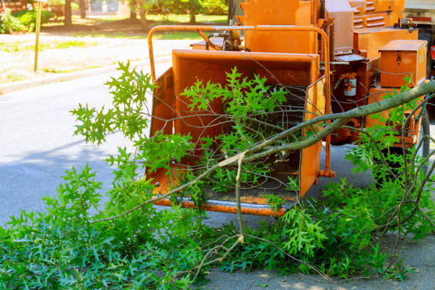 Best Hazardous Tree Removal  in Country Lake Estates, NJ